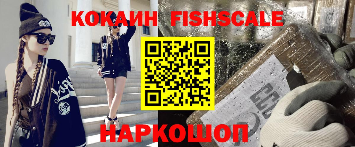 КОКАИН VHQ  купить  цена  Заводоуковск  COCAIN Fish Scale  Вход с VPN 
