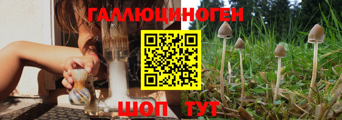 купить наркоту  Вход с VPN  Заводоуковск  Галлюциногенные грибы Cubensis 